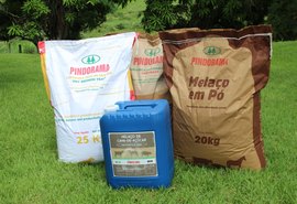 Pindorama amplia mix de produtos da cana