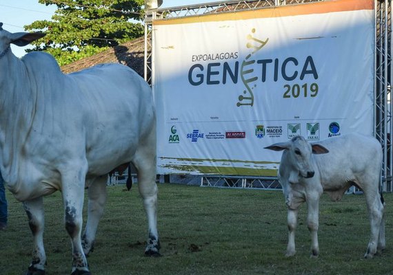 ACA mantém Expoalagoas Genética no calendário de 2021