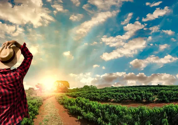 Mãos que transformam o campo e que alimenta o Brasil e o mundo
