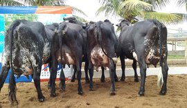 Expo Bacia Leiteira conta com programação diversificada