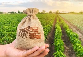 Balança comercial do agro registra recorde