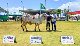 Expoagro Alagoas chega à sua 74ª edição como maior evento agropecuário do Nordeste