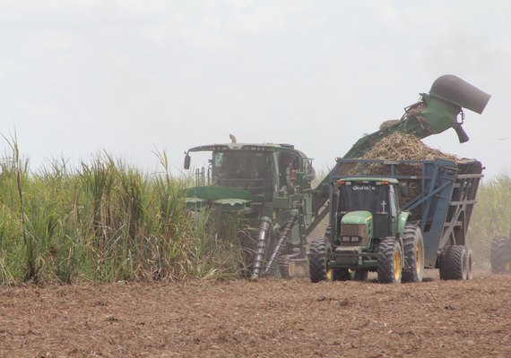 Safra 21/22: apenas a usina Sumaúma segue com a moagem