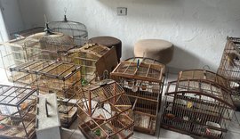 Polícia Militar resgata dezenas de aves silvestres em municípios do interior de Alagoas