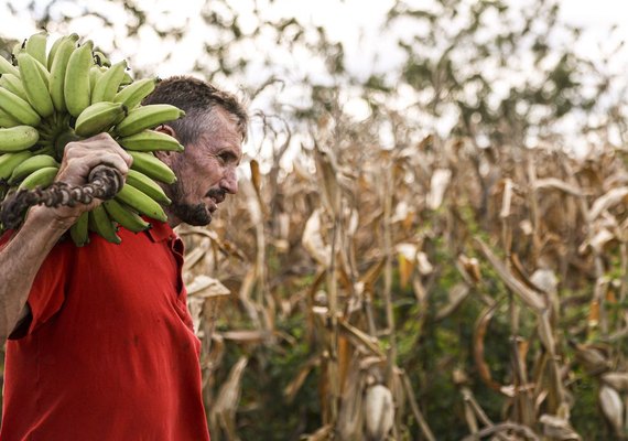 Câmara aprova uso de recursos do FGO em operações do Pronaf