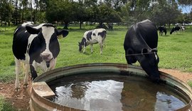 Embrapa lança livro sobre manejo hídrico eficiente e sustentável na pecuária