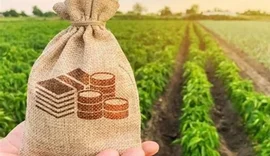 Nova lei reduz benefícios fiscais e pode elevar custos no agronegócio