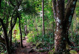 Pindorama e IPMA promovem seminário sobre percepção ambiental