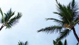 Defesa Civil alerta para ventos de até 70 km/h em AL a partir desta quinta-feira