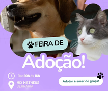Feira de adoção incentiva novo lar para cães e gatos em Maceió