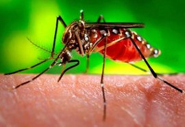 Dengue ameaça estados do Nordeste, Espírito Santo e Rio