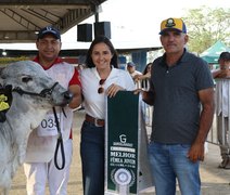 Expo Bacia Leiteira encerra edição com legado de competitividade e projeta crescimento no setor