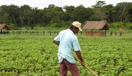 Governo lança Programa Terra da Gente para beneficiar 295 mil famílias até 2026