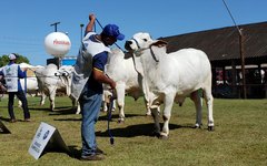 Foram 9 dias de Expoagro.