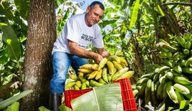 Cooperativas da agricultura familiar contribuem para o combate à insegurança alimentar em Alagoas