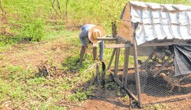 Projeto Sustentável: Tecnologias Agrícolas de Baixo Carbono chegam a região de Batalha-AL