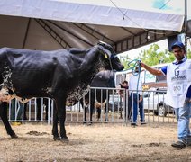 Expo Bacia Leiteira 2022 vai fortalecer pecuária leiteira regional