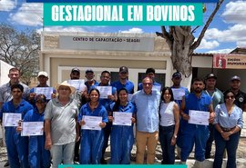 Seagri-AL promove curso de diagnóstico gestacional em bovinos