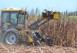 Boletim atualiza números da safra 23/24 com moagem acumulada de 19,5 mi de toneladas de cana