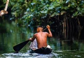COP30 na Amazônia se torna chamado global e cooperativo contra crise climática