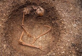 Arqueólogos encontram esqueletos entrelaçados em silo na França