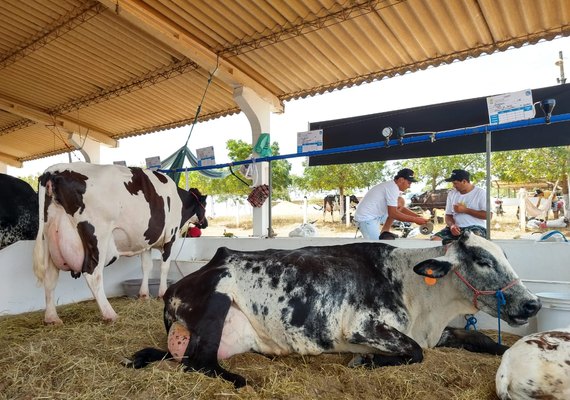 Abertura da 37ª Expo Bacia é marcada pela expectativa de retomada do setor