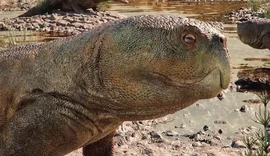 Réptil de 230 milhões de anos com bico é descoberto no Sul do Brasil