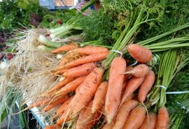 Mercado do Jaraguá ganha pontos para agroecológicos