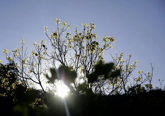Começa hoje a Semana Nacional de Ciência e Tecnologia