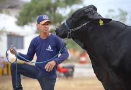 Confira a programação completa da 42ª Expo Bacia Leiteira em Batalha
