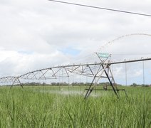 Novo marco regulatório dos bioinsumos tem potencial para impulsionar o crescimento