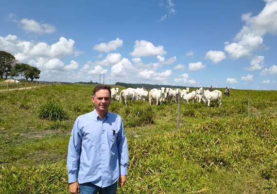 Nelore Positivo chega à 21ª edição com oferta de peso e genética testada a campo