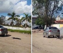 Homem que arrastou cachorro com carro em Maceió é intimado pela PC
