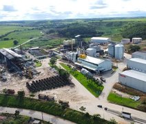 Pindorama se prepara para nova safra e projeta crescimento na moagem de cana