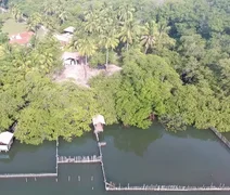 Mortes de peixes-boi em Alagoas acendem alerta de contaminação na base de conservação