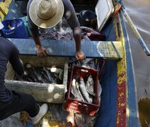 Pescadores beneficiados pelo seguro-defeso recebem 6º lote nesta terça-feira