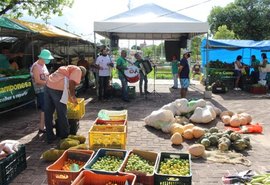 Feira Camponesa Itinerante acontece na Serraria nesta semana