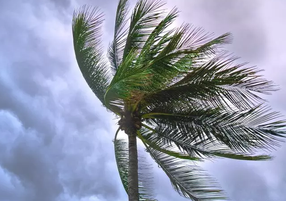Alagoas pode ter ventos de até 50 km/h entre quinta e sábado, alerta Semarh