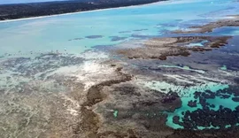 'Caribe brasileiro': por que idas à Lagoa Azul em Maragogi foram proibidas