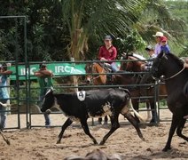 Expoagro 2025: prova de Ranch Sorting contará com categoria oficializada pela ABQM