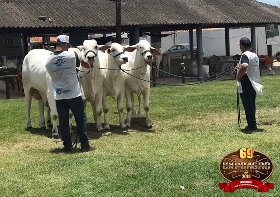 ACA confirma realização da 70ª Expoagro