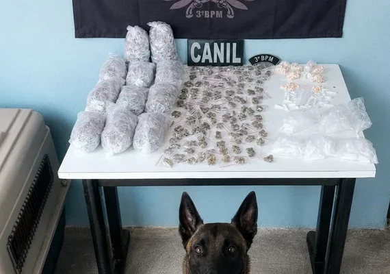 Cães da PM localizam mais de 1,2 mil porções de drogas em Arapiraca
