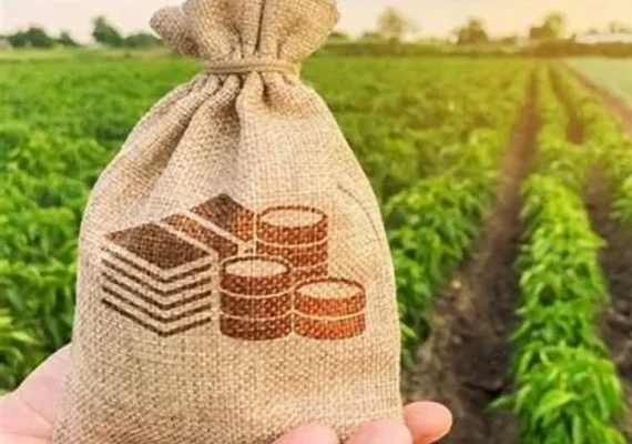 Nova lei reduz benefícios fiscais e pode elevar custos no agronegócio