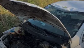 Homem capota carro na AL-145 após deixar Festival de Inverno