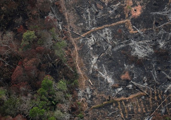 Desmatamento na Amazônia cresce 9,5% em 1 ano e passa de 11 mil km²