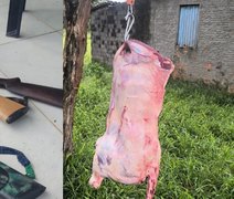 Polícia Ambiental apreende armas e interrompe abate clandestino em Alagoas