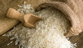 EUA puxam exportações brasileiras de arroz