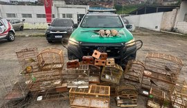 BPA apreende armas e animais silvestres em municípios do interior de Alagoas