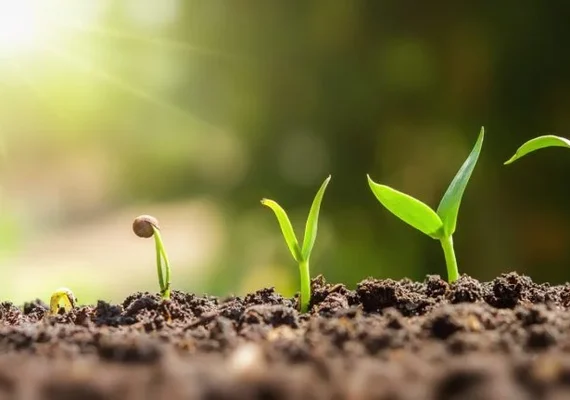 Tecnologia microbiana e agricultura sustentável