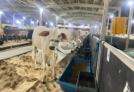 Expoalagoas Genética tem início no Parque da Pecuária com foco em produtividade